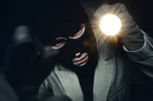 thief